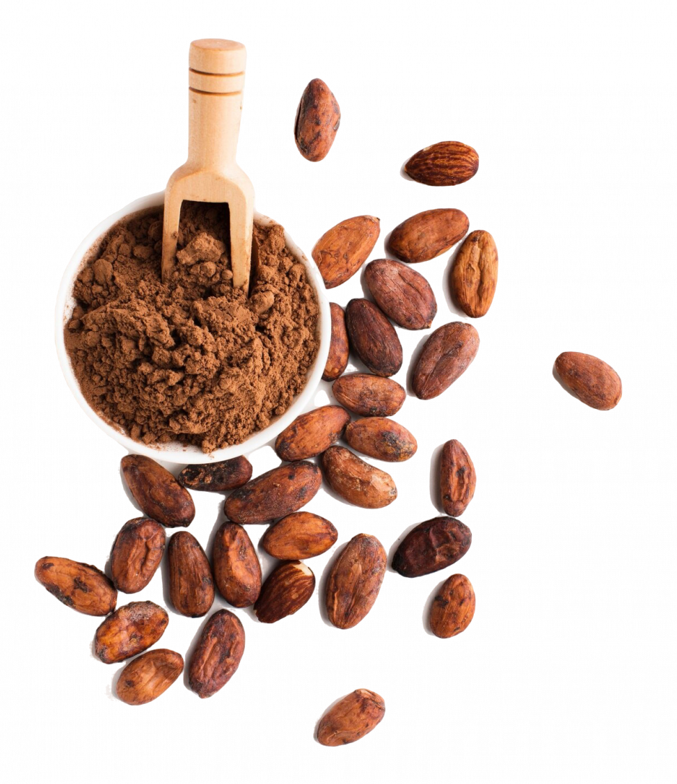 cacao